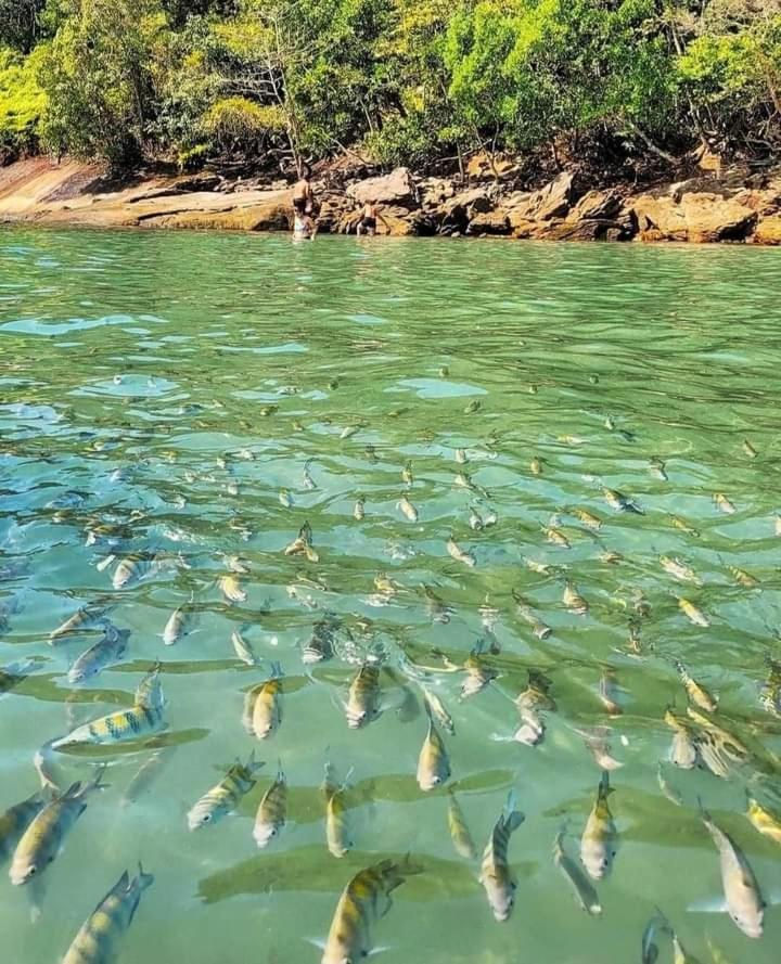 Praia Grande Ubatuba Casa Nova 5D מראה חיצוני תמונה